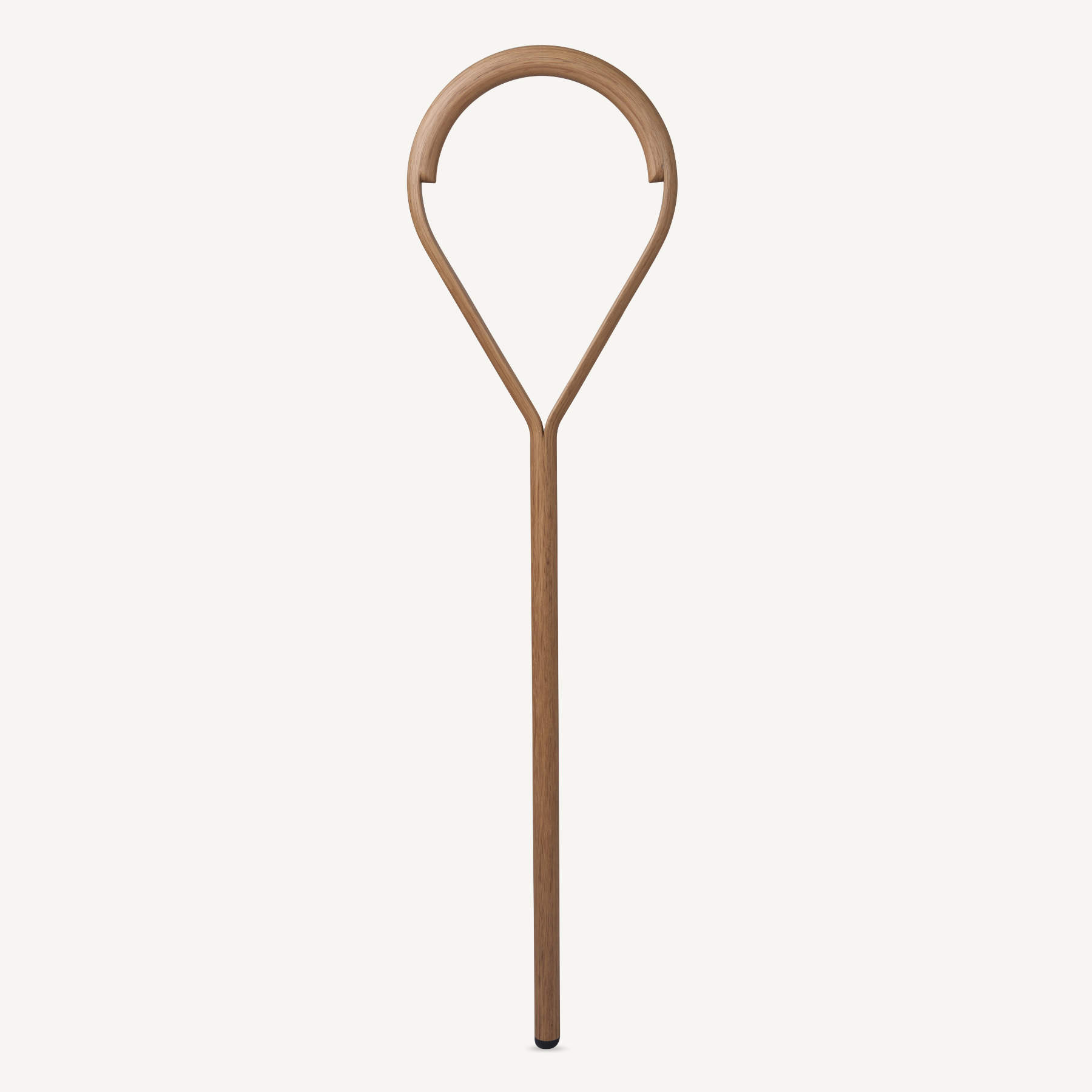 An aesthetic and functional cane